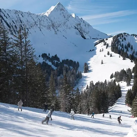 Relai S11 Grand Et Lumineux Avec Coin Montagne 4-6 Pers, Wifi, 30m Des Pistes, Grand Balcon, Draps Non Compris